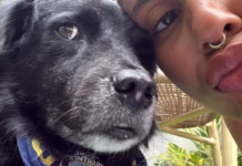 Tokischa pide ayuda para encontrar a su perrita Espiral y ofrece recompensa de RD$50,000 Tokischa pide ayuda para encontrar a su perrita Espiral y ofrece recompensa de RD$50,000