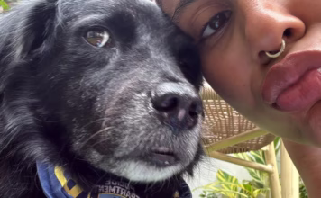 Tokischa pide ayuda para encontrar a su perrita Espiral y ofrece recompensa de RD$50,000 Tokischa pide ayuda para encontrar a su perrita Espiral y ofrece recompensa de RD$50,000