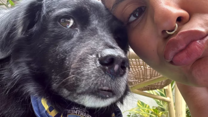 tokisha-espiral Tokischa pide ayuda para encontrar a su perrita Espiral y ofrece recompensa de RD$50,000